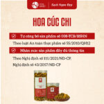 Hoa Cúc Chi - Ảnh 4