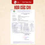 Hoa Cúc Chi - Ảnh 3