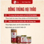Đông Trùng Hạ Thảo sấy khô - Ảnh 4
