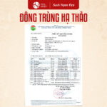 Đông Trùng Hạ Thảo sấy khô - Ảnh 3