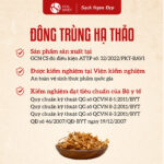 Đông Trùng Hạ Thảo sấy khô - Ảnh 2