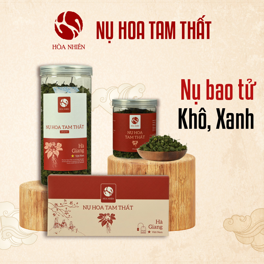 01. Nu Tam That KBYT KHT vuong-02 Nụ hoa Tam Thất bao tử - Ảnh 1