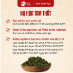 Nụ hoa Tam Thất bao tử - Ảnh 2