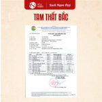 Bột Tam Thất Bắc - Ảnh 2