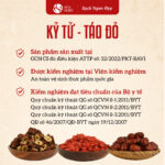 Kỷ Tử Táo Đỏ (combo) - Ảnh 2