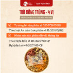 Trà Đông Trùng Hạ Thảo (4 vị) - Ảnh 5