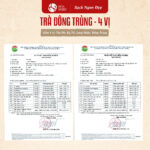 Trà Đông Trùng Hạ Thảo (4 vị) - Ảnh 3