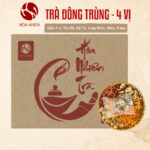 Trà Đông Trùng Hạ Thảo (4 vị)
