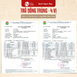 Trà Đông Trùng Hạ Thảo (4 vị) - Ảnh 4